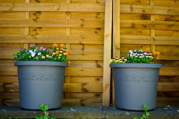 Comment sélectionner le pot XXL idéal et transformer votre jardin en espace d’exception